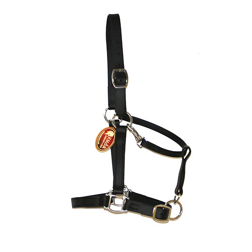 Biothane Halter Bridle